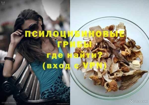 первитин Богданович
