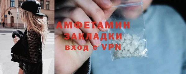 дмт Болотное