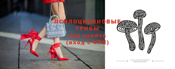 первитин Богданович