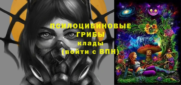 первитин Богданович