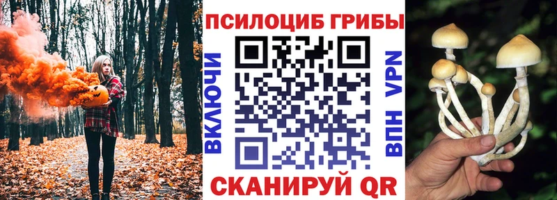 как найти   Горняк  Псилоцибиновые грибы мицелий 